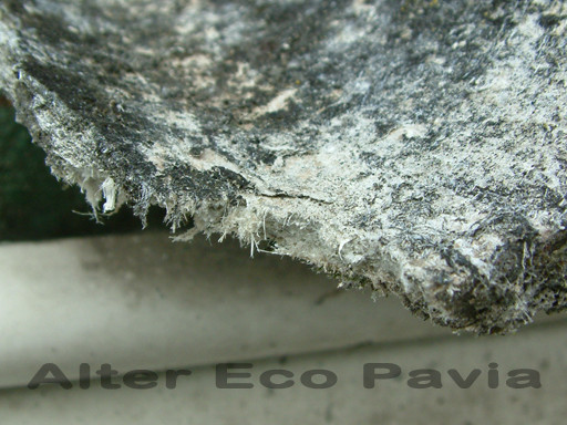 Amianto degradato (vedi scheda)